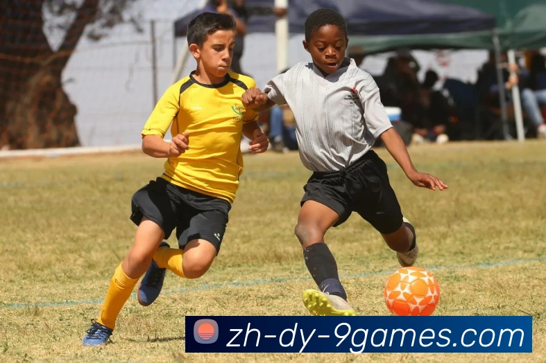 J9九游会官网平台生态图